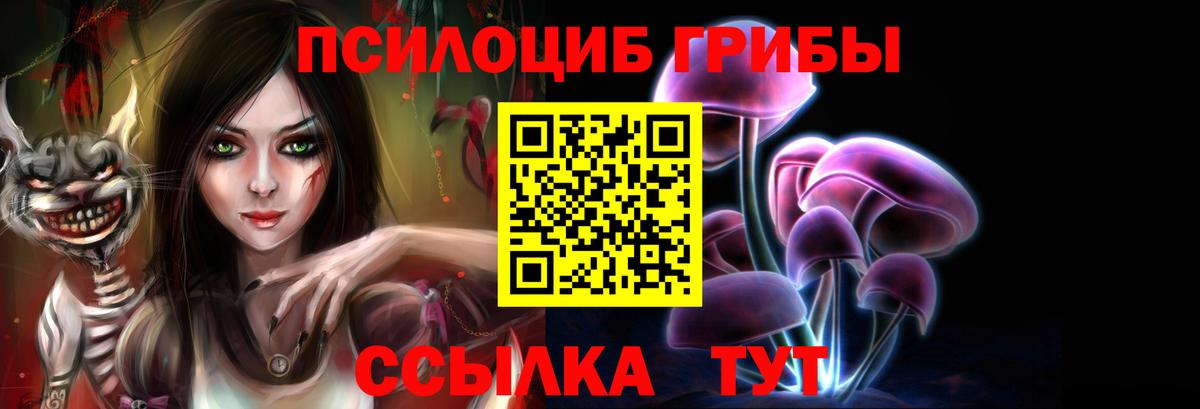 Псилоцибиновые грибы Cubensis Тула