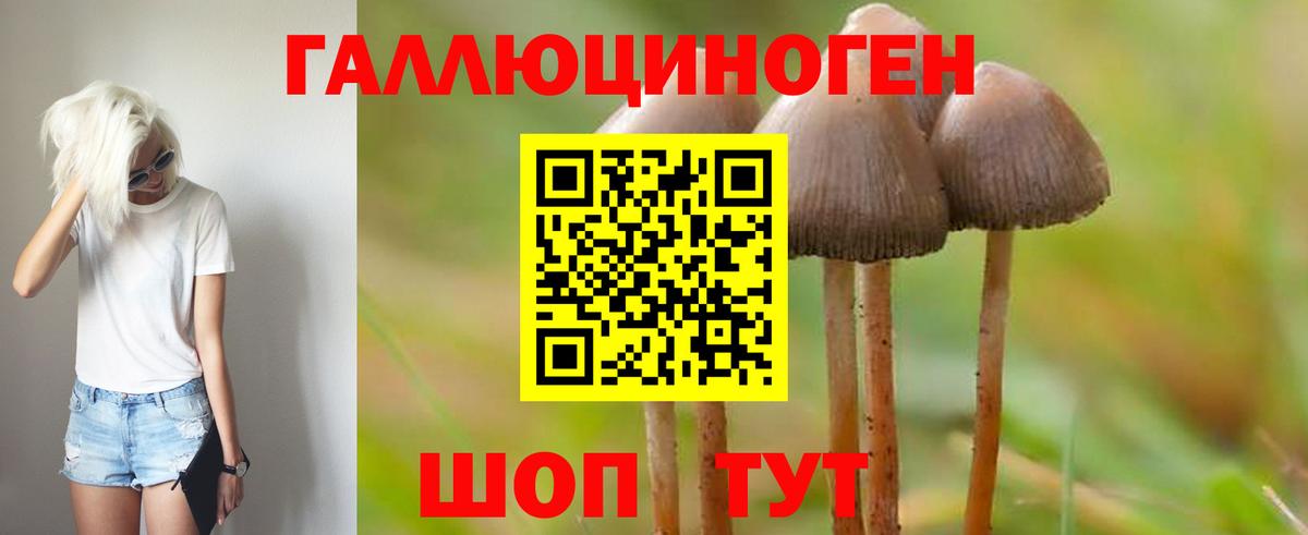 Псилоцибиновые грибы прущие грибы  Вход с VPN  Тула 